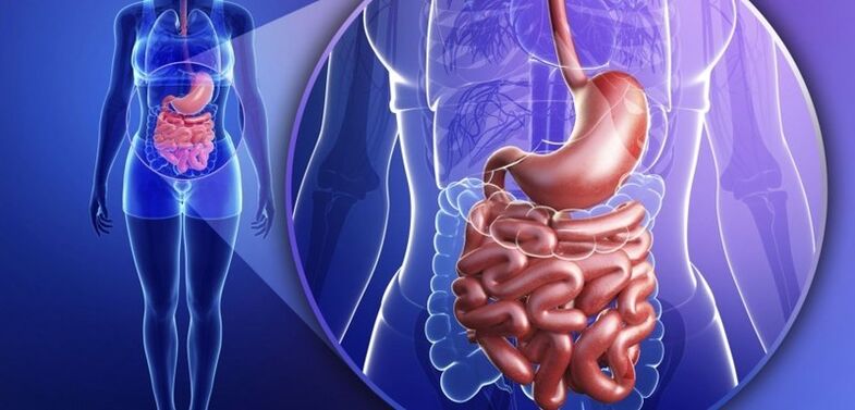 Traktu gastrointestinala gizakia da
