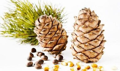 Zedro fruitu lehorrak gorputzetik parasitoak kentzeko