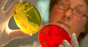 parasitoen diagnostikoa gorputzean